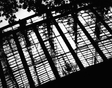 Book: Light, Relationship